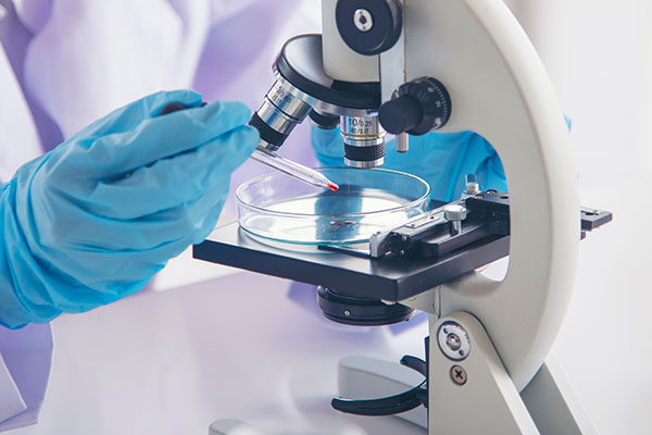 臨床研究に関する情報公開について